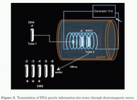 DNA waves and water - PsicoNeuroEndocrinoImmunologia